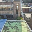 중앙동242 이미지