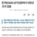 [단독] GS25 삼각김밥에서 대장균 초과 검출 이미지