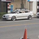 윙바이오 이미지