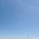 노씨네 | ​🍊 [제주] 3대가 함께한 노씨네 가족의 눈부셨던 제주 3박 4일 완벽 일주
