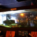 비어펍(BEER PUB) 네이버블로그