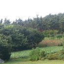 만리포헛개나무농장 이미지