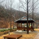 진밭골 야영장 네이버블로그