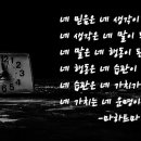 시장골목식당 이미지