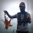 고흥-10호 | 고흥 녹동항 반야호 돌문어낚시_190726