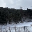 대형카프라자 | 겨울왕국인 강원도 평창여행☃️ 뚜벅이로 발왕산 케이블카 즐기는 법&amp;모나베이커리카페 후기