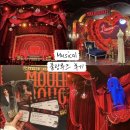 11545-11-30-26 | [뮤지컬]물랑루즈 뮤지컬 md,포토존,무대 사진 | 블루스퀘어 1층 11열 25,26 시야 | 정선아&amp;차윤해 후기