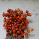 고려돌솥설렁탕 이미지