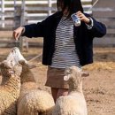 사계절목장 이미지