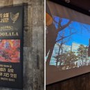 훌랄라참숯바베큐치킨 이미지