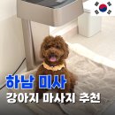 (주)메디원헬스케어 | 하남미사 강아지 슬개골 마사지 재활 리듬펫헬스케어 반려견 체형 교정 재활 후기