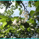 도봉-도봉-서울도봉-2016 이미지