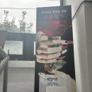 내돈내산 신촌 가성비 네일샵 “손톱쟁이” 기본케어