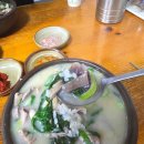 충남식당 | 거제 고현시장 국밥 맛집 현지인 추천 노포 충남식당 웨이팅 후기