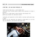용신14 이미지