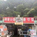 총각집 | 내돈내먹 부산암남공원 해물나라 총각집 조개구이 후기