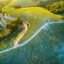 우마미(umami) 이미지