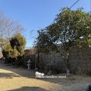 스테이 댕댕 이미지