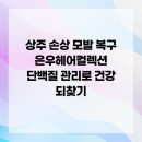 헤어컬렉션 이미지