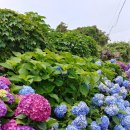 온평보건진료소 이미지