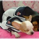 산이랑 바다 이미지