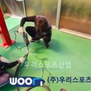 포천회관 이미지