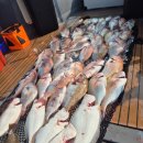 씨엔텔 민박 이미지