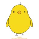 노란병아리 이미지