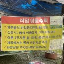 지향가든 | 담양 용흥사 계곡 지향가든 오픈런 후기 / 광주근교 아이랑 가기좋은 물놀이 장소 추천