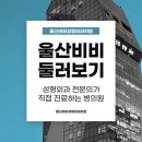울산비비성형외과의원 네이버블로그