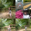 서영농장 이미지