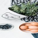 일구측량설계공인중개사사무소 | 농막과 6평 농막 화장실에 관한 내용 요약