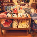 펫 파라다이스(pet paradise) 이미지