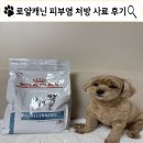 로얄동물병원 | 로얄캐닌 피부 알러지 사료 아날러제닉 효능, 오해와 진실, 급여 후기