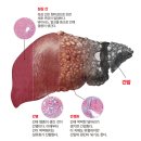 종로제일약국 이미지