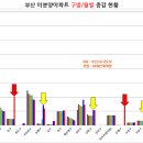 더오펠리 이미지