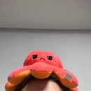 소은약국 | [왓츠인마이블로그] 명절은 먹고 또 먹어볼까의 연속이라지?!... 에 (+ 화이트리에 전주점 후기까지)
