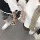 해와별여행 네이버블로그