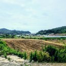 진도 동석산 / 금골산 이미지