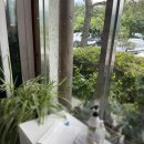 소령원장단콩두부마을 이미지