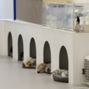 프릿토핏 이미지