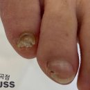 레푸스강남세곡점 이미지