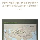 한국이 뜬금없는 위구르 유물을 대량으로 보유하고 있는 이유 이미지