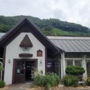 커피프렌즈다육