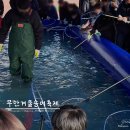 CU무안해제중앙로점 | [무안] 2024 무안 겨울 숭어 축제 후기