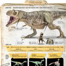 [재미있는 과학] 화려한 깃털 달린 화석 발견… 살아남은 일부는 조류로 이미지