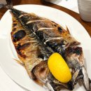 송원애견 이미지