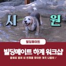 빌딩메이트부동산중개 이미지