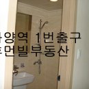 미씨엘로 이미지