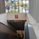강남-024 이미지